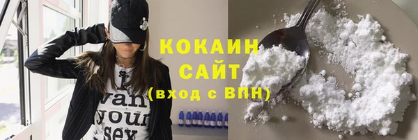 дмт Карпинск