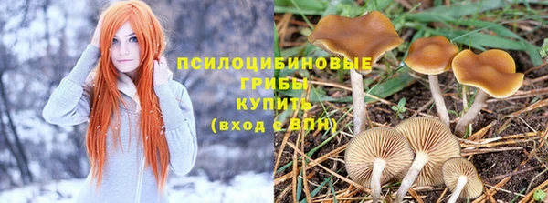 хмурый Карталы