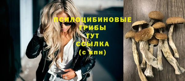 хмурый Карталы