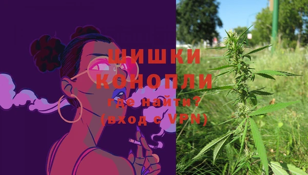 дмт Карпинск